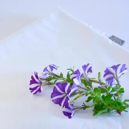 アパート Xristina *