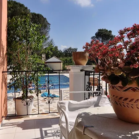 Xristina Daire Dafnila